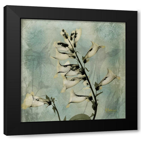 Golden Fox Glove Black Modern Wood Framed Art Print with Double Matting by Koetsier, Albert