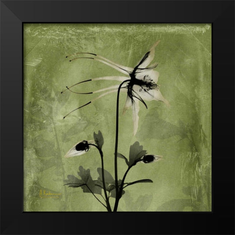 Columbine Black Modern Wood Framed Art Print by Koetsier, Albert