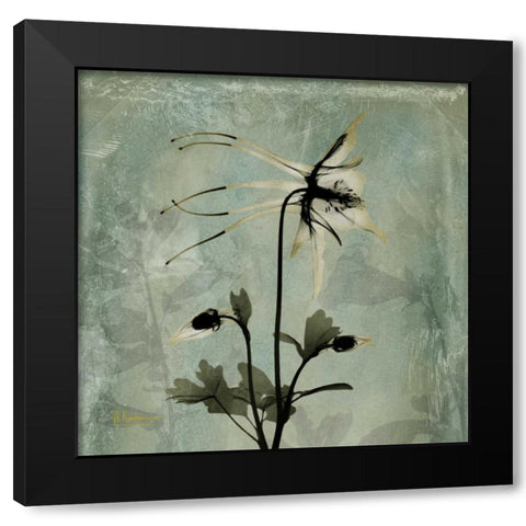 Columbine Black Modern Wood Framed Art Print by Koetsier, Albert