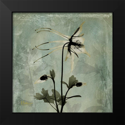 Columbine Black Modern Wood Framed Art Print by Koetsier, Albert