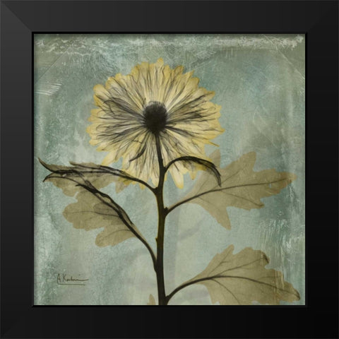 Chrysanthemum Black Modern Wood Framed Art Print by Koetsier, Albert