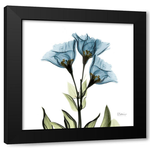 Gentian Azure L301 Black Modern Wood Framed Art Print by Koetsier, Albert