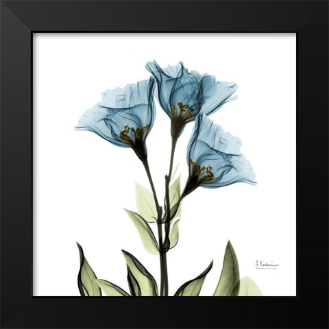 Gentian Azure L301 Black Modern Wood Framed Art Print by Koetsier, Albert