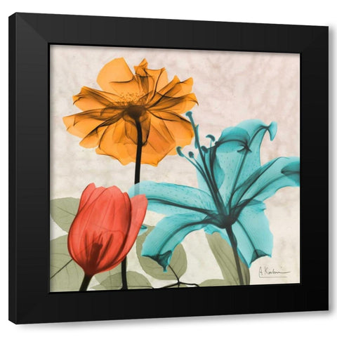 Spice Avalon X Black Modern Wood Framed Art Print by Koetsier, Albert