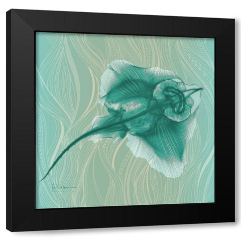 Skate 86 Black Modern Wood Framed Art Print with Double Matting by Koetsier, Albert