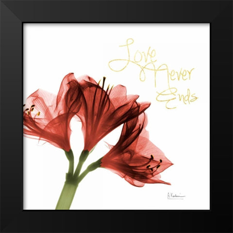 Amaryllis Endless Love Black Modern Wood Framed Art Print by Koetsier, Albert