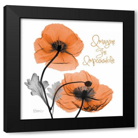 Imagine Iceland Poppy Black Modern Wood Framed Art Print by Koetsier, Albert