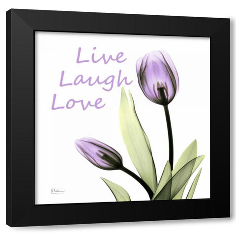 LLL C64 Black Modern Wood Framed Art Print by Koetsier, Albert