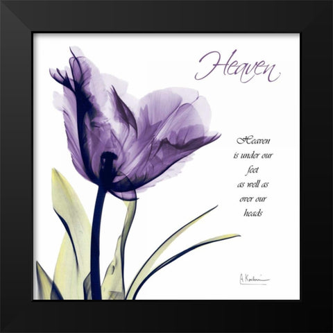 Tulip Heaven Black Modern Wood Framed Art Print by Koetsier, Albert