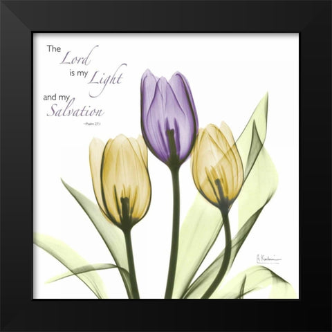 Tulips Salvation Black Modern Wood Framed Art Print by Koetsier, Albert