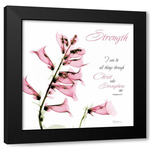 Philippians Black Modern Wood Framed Art Print by Koetsier, Albert