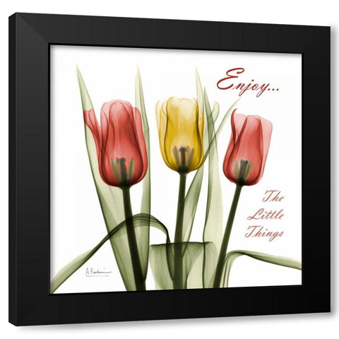 Tulips Enjoy The Little Things Black Modern Wood Framed Art Print by Koetsier, Albert