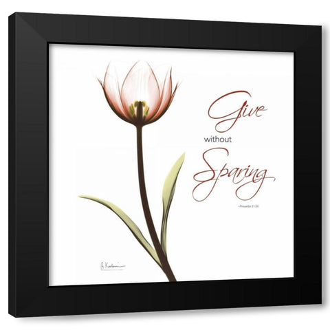 Giving Tulip C69 Black Modern Wood Framed Art Print with Double Matting by Koetsier, Albert