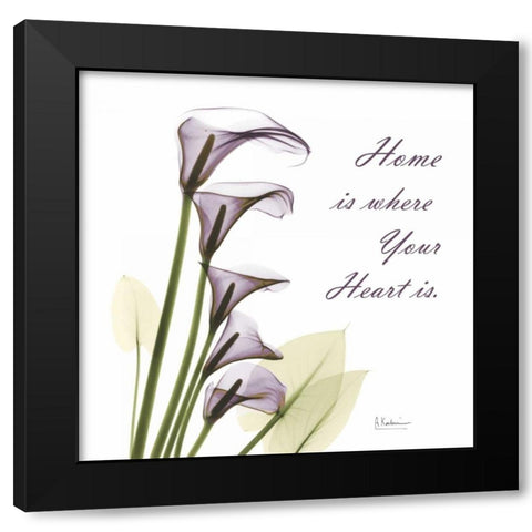 Calla Lilies Home Black Modern Wood Framed Art Print by Koetsier, Albert