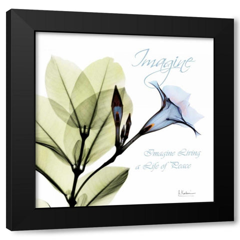 Imagine Mandelilla Black Modern Wood Framed Art Print by Koetsier, Albert