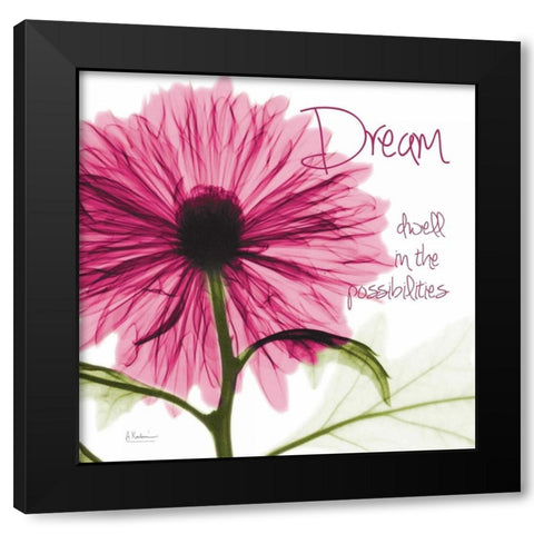 Pink Chrysanthemum Dream Black Modern Wood Framed Art Print with Double Matting by Koetsier, Albert