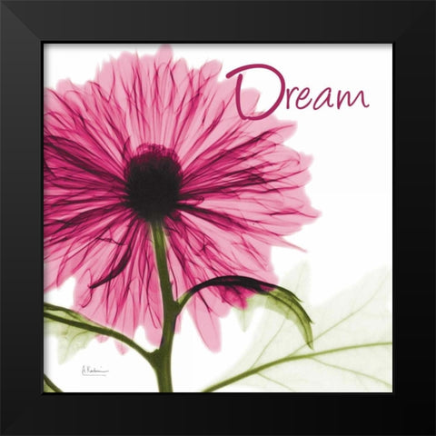 Pink Chrysanthemum Dream Black Modern Wood Framed Art Print by Koetsier, Albert