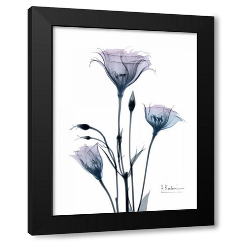 Midnight Gentian 2 Black Modern Wood Framed Art Print with Double Matting by Koetsier, Albert
