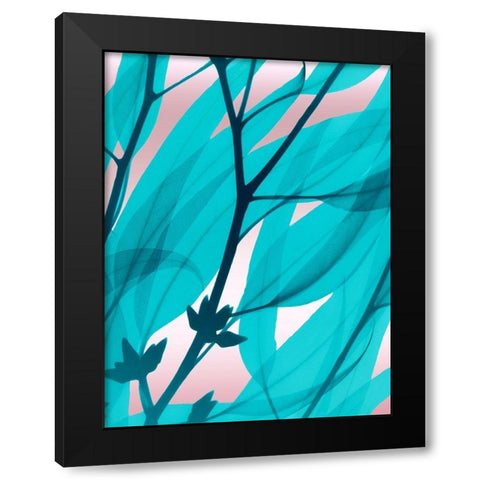 Eucalyptus Cotton Candy Black Modern Wood Framed Art Print with Double Matting by Koetsier, Albert