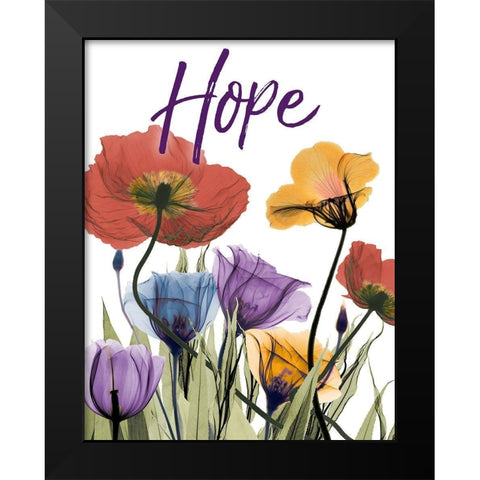Hopeful Flowerscape Black Modern Wood Framed Art Print by Koetsier, Albert