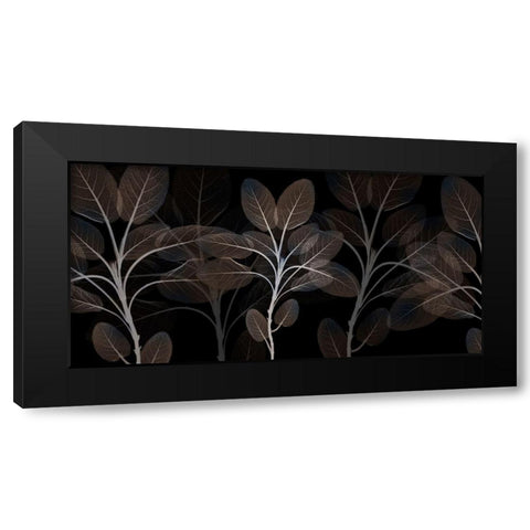 Cocoa Blooms 1 Black Modern Wood Framed Art Print with Double Matting by Koetsier, Albert