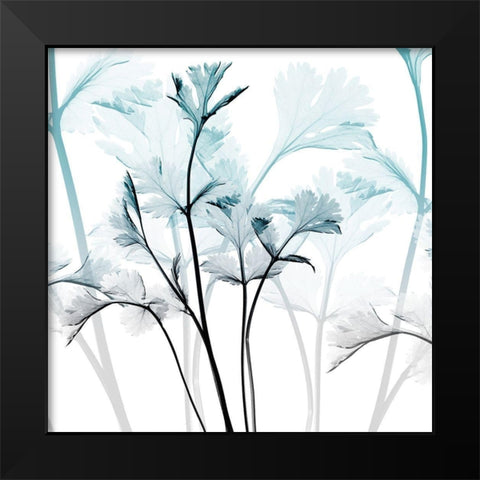 Amethyst Glow Black Modern Wood Framed Art Print by Koetsier, Albert