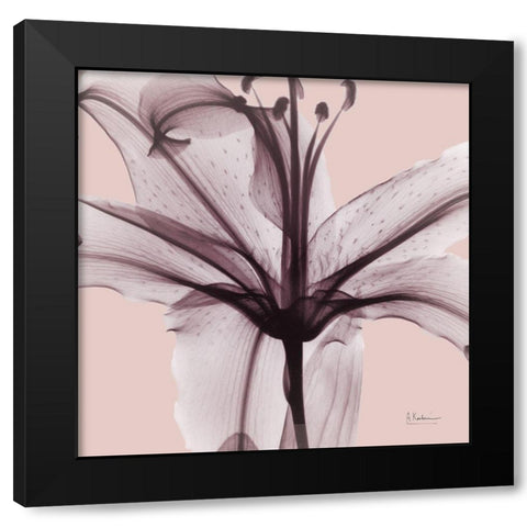 Sensitive Lily Black Modern Wood Framed Art Print with Double Matting by Koetsier, Albert