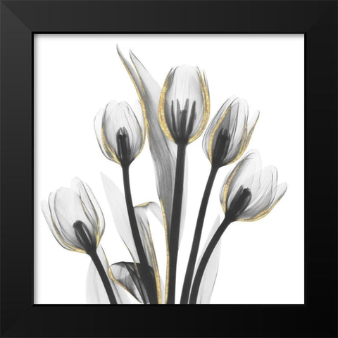 Gold Embellished Tulips 1 Black Modern Wood Framed Art Print by Koetsier, Albert