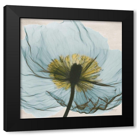 Dream in Pale Blue Black Modern Wood Framed Art Print by Koetsier, Albert