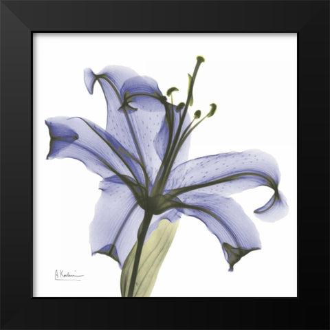 Lily in Purple Black Modern Wood Framed Art Print by Koetsier, Albert