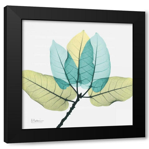 Ficus Burkey Black Modern Wood Framed Art Print with Double Matting by Koetsier, Albert