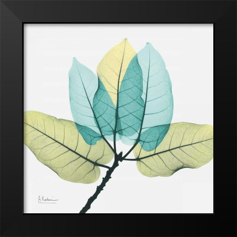 Ficus Burkey Black Modern Wood Framed Art Print by Koetsier, Albert