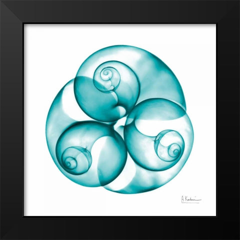 Moon snail Trio Black Modern Wood Framed Art Print by Koetsier, Albert