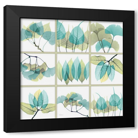 Citrus Leaves SC Black Modern Wood Framed Art Print with Double Matting by Koetsier, Albert