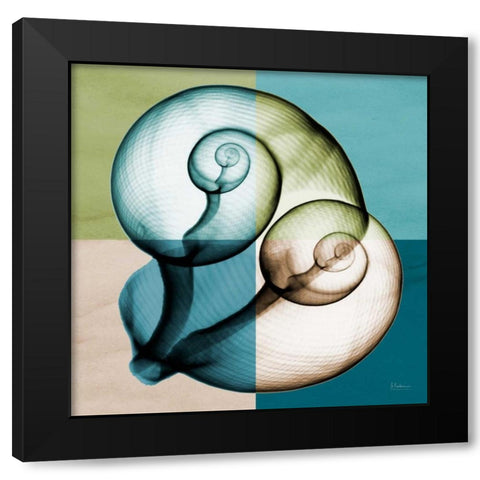 Blue Green Shell 1 Black Modern Wood Framed Art Print with Double Matting by Koetsier, Albert