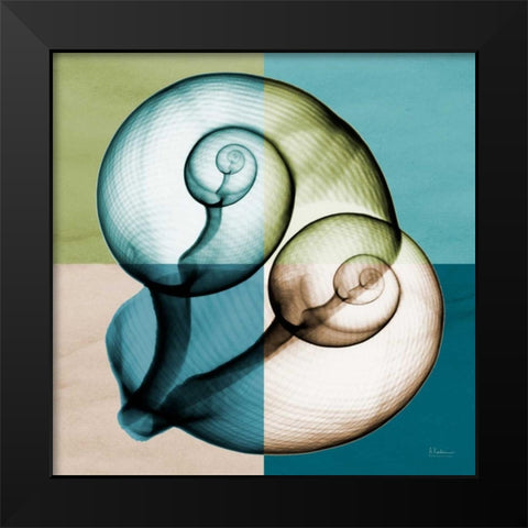 Blue Green Shell 1 Black Modern Wood Framed Art Print by Koetsier, Albert