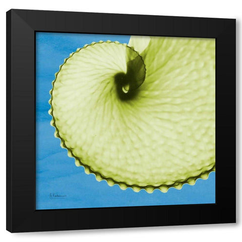 Argonaut Black Modern Wood Framed Art Print with Double Matting by Koetsier, Albert