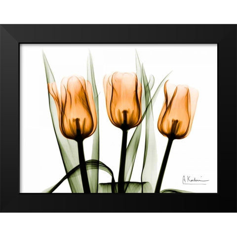 Tulips Orange Black Modern Wood Framed Art Print by Koetsier, Albert