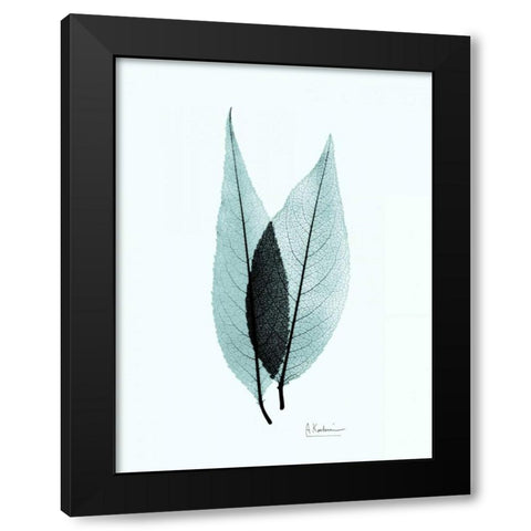 Caplulin Cherry Teal Black Modern Wood Framed Art Print by Koetsier, Albert