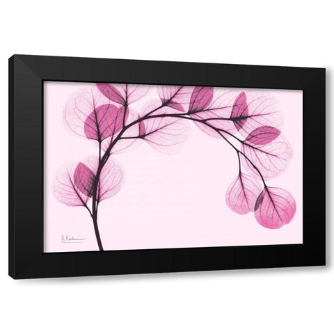 Pink Eucalyptus Black Modern Wood Framed Art Print with Double Matting by Koetsier, Albert
