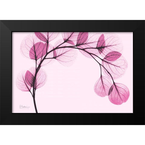 Pink Eucalyptus Black Modern Wood Framed Art Print by Koetsier, Albert