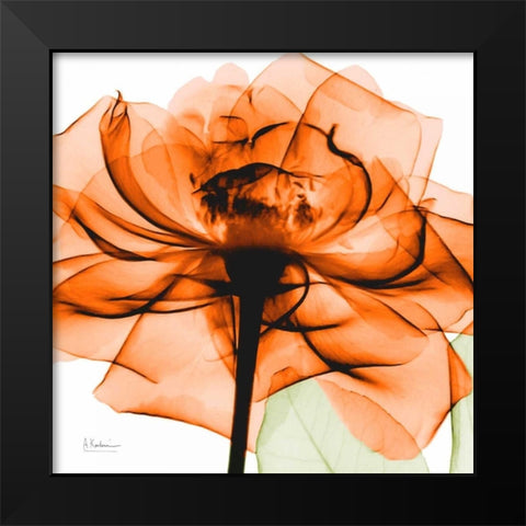 Orange Rose Black Modern Wood Framed Art Print by Koetsier, Albert