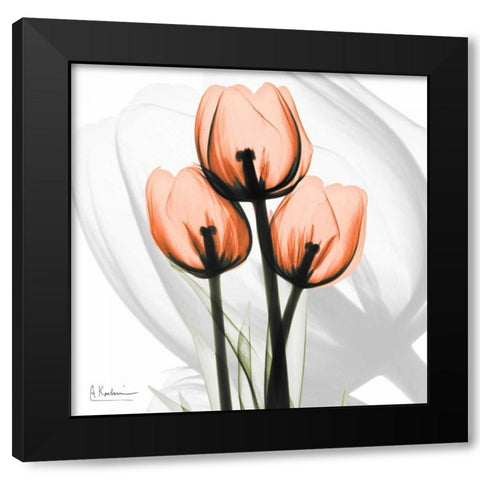 Orange tulips Black Modern Wood Framed Art Print by Koetsier, Albert