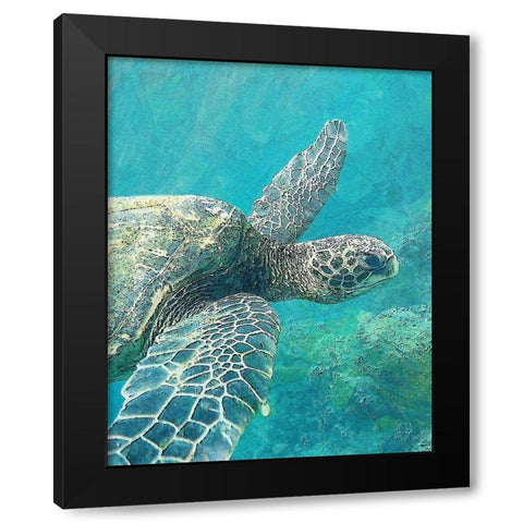 Sea Turtle 1 Black Modern Wood Framed Art Print with Double Matting by Bailey, Ann
