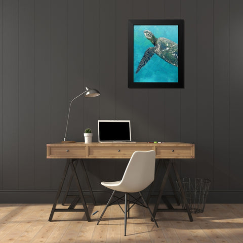 Sea Turtle 3 Black Modern Wood Framed Art Print by Bailey, Ann