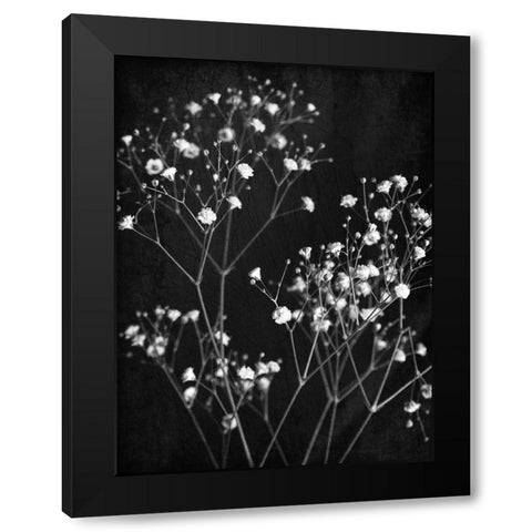 Delicate 1 Black Modern Wood Framed Art Print by Bailey, Ann