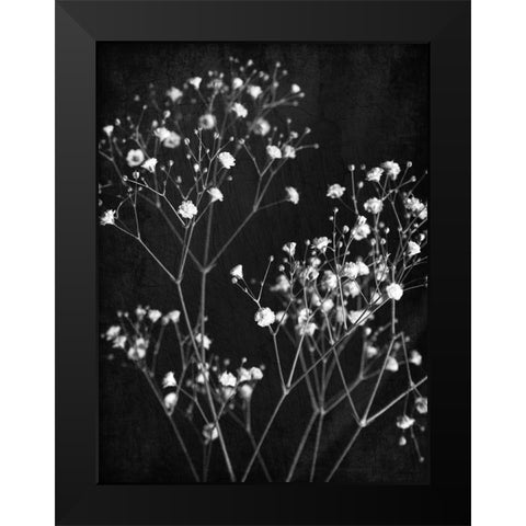 Delicate 1 Black Modern Wood Framed Art Print by Bailey, Ann