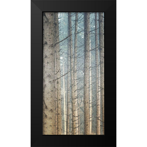 Forest Dreaming 2 Black Modern Wood Framed Art Print by Bailey, Ann
