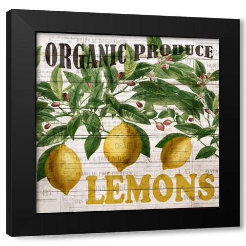 Fresh Picked Lemons Black Modern Wood Framed Art Print with Double Matting by Bailey, Ann