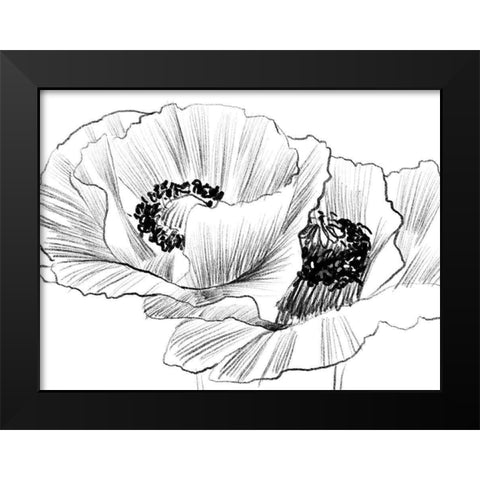 Sketched Poppies 3 Black Modern Wood Framed Art Print by Boho Hue Studio